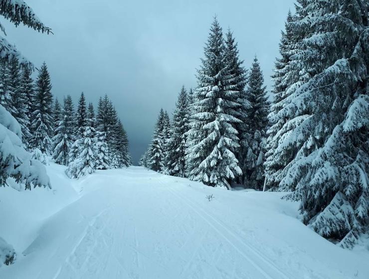 Sunsportí tipy: Kde hledat informace o sněhu pro běžkaře